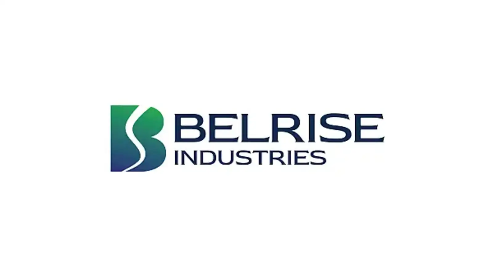 belrise industries ipo